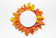Beautiful Autumn Composition With Leaves And Blank Card On White Background