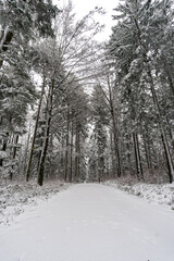  Winter hike in snow from Wilhelmsdorf on the Hoechsten on Lake Constance