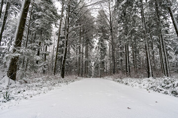  Winter hike in snow from Wilhelmsdorf on the Hoechsten on Lake Constance