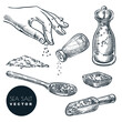 Sea salt sketch vector illustration. Natural ingredient, seasoning spice. Hand drawn isolated design elements