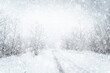 © stone36 - Winter wonderland. Winter snowfall picturesque landscape with the rural road through the snowy copse.