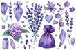 Set of elements lavender flowers, hydrangea, bags, bottles, beads and hearts, watercolor drawings