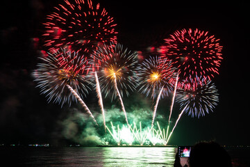Wall Mural - Colorful of fireworks In the sea display on sky background