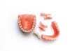 © MISHA - Dental prosthetics on a white background. Dentures. Prosthetic teeth. False teeth. Prosthetic dentistry. Set of dentures on a white background. Top view of complete denture on white background