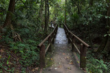 Fototapeta Dziecięca - Nature trail in Khao Yai National Park