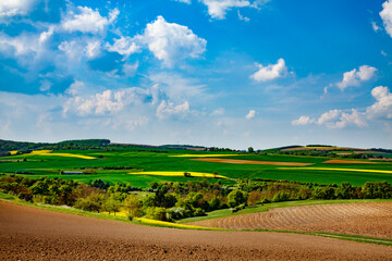 Wall Mural - Wide panorama landscape view of a rural area with meadows and wheat field in Germany