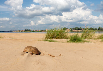 Poster - Plage sur le Mékong à Kratie, Cambodge