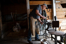 Male Blacksmith Shaping Horseshoe At Anvil In Horse Barn