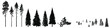 Set of wild coniferous trees hand-drawn in silhouette. Bundle wild coniferous forest trees, firs, pines, mountain pines, ship pines composition of young fir trees, spruce forest. Isolated on a white.