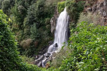 Wall Mural - the nepi waterfall surrounded by greenery