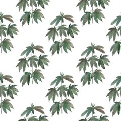 Naklejka na meble Seamless pattern with cannabis plant on a white background. Marijuana leaves, cannabis.