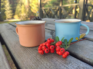 Wall Mural - colorful cups and small red berries