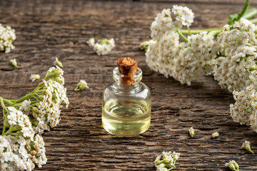 Essential oil bottle with fresh blooming yarrow