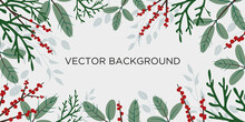 Flat Vector Christmas Background With Branches Of Conifers And Red Ilex Berries Good For Winter Holidays Banners