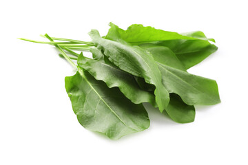 Bunch of fresh green sorrel leaves on white background