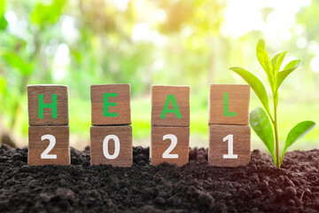 Poster - Year 2021 healing, hope, growth, life renewal, new beginnings and recovery concept. Wooden blocks heal word with growing plant at sunrise on natural background.