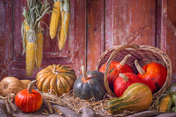 Autumn still life with pumpkin fruits of different colors and sizes in a rural house on the background of old wooden doors. Concept of Thanksgiving day with space for text