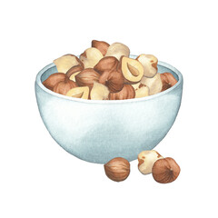 Wall Mural - Watercolor bowl of hazelnuts decorated with nuts.