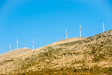 wind turbines in the field