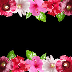 Fotomurales - Beautiful flower frame made of hibiscus, Chinese rose and mallow. Isolated