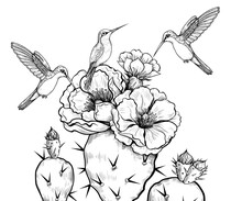 .Cute Hummingbirds And Blooming Prickly Pears. .Vector Illustration In Engraving Style. Vintage Image Of Exotic Nature.