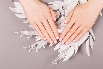 Wall Mural - Manicure and nail care concept. Minimal composition of the woman hands on the grey background. Classic pink nail polish. Flat lay, top view.