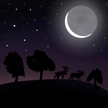 Silhouette Of Trees And Animals On Midnight On Beautifull Moon Light.