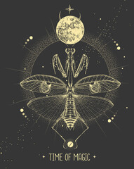 Wall Mural - Modern magic witchcraft card with moon and praying mantis. Hand drawing occult vector illustration