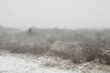 Biała Góra koło Sztumu zimą, zamieć śnieżna i ambona