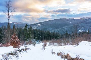 Wall Mural - winter, active vacation in the carpathians with picturesque houses and lots of snow.