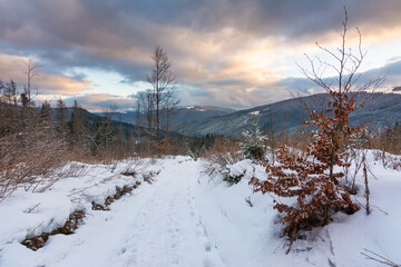 Wall Mural - winter, active vacation in the carpathians with picturesque houses and lots of snow.