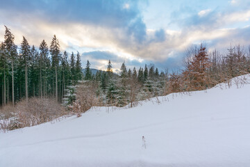 Wall Mural - winter, active vacation in the carpathians with picturesque houses and lots of snow.