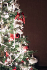 decorated christmas tree with bright lights against interior wall