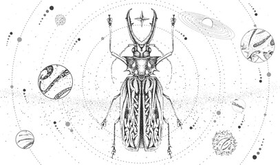 Wall Mural - Modern magic witchcraft card with solar system and Sabertooth Longhorn beetle. Hand drawing occult vector illustration