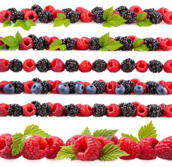Wall Mural - Forest berries backgrounds
