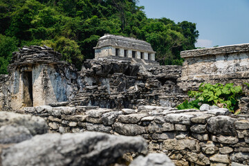 Wall Mural - Temple of the inscriptions and palace at the archaeological Mayan site in Palenque, Chiapas, Mexico