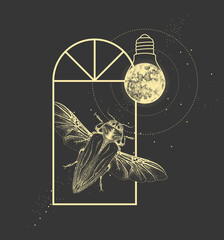 Wall Mural - Magic witchcraft window silhouette with Belionota tricolor beetle and full moon like light bulb. Vector illustration