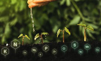 Role of nutrients in plant life. Soil with digital mineral nutrients icon.