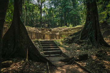 Wall Mural - Overgrown Maya temple ruins in lush tropical forest at archaeological site of Palenque, Chiapas, Mexico