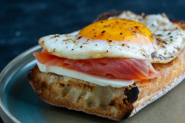 Fresh salmon, egg sandwich, close up. Salted salmon, fried egg, butter and white bread