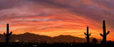 Fototapeta Miasto - A vibrant sunset over Phoenix Arizona