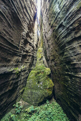 Wall Mural - Rocks covered with moss in Adrspach Rocks, part of Adrspach-Teplice landscape park in Broumov Highlands region of Czech Republic