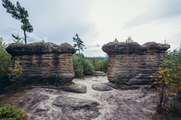 Poster - Mushroom rocks in Broumov Walls mountain range in Czech Republic