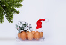 Chicken Eggs Stand On A Tray On A White Background And Above Them A Branch Of A Christmas Tree. High Quality Photo