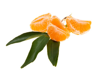 Sticker - tangerines with leaves isolated