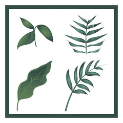 Sticker - set of different leaves branch foliage nature icons