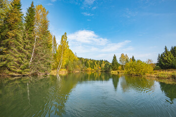 Wall Mural - autumn forest trees are reflected in the river water of the panoramic landscape. blue sky with cloud
