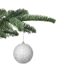 fir tree branch with christmas ball on white background