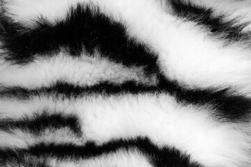 Poster - fur with black white stripes. background for design