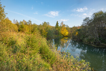 Wall Mural - autumn forest trees are reflected in the river water of the panoramic landscape. blue sky with cloud